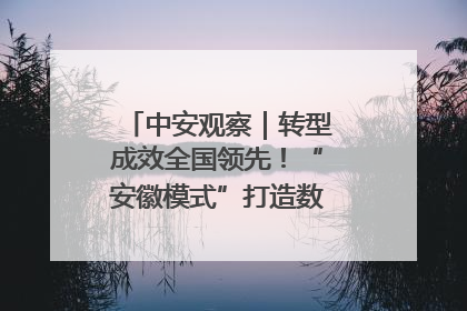 中安观察｜转型成效全国领先！“安徽模式”打造数字化转型新标杆